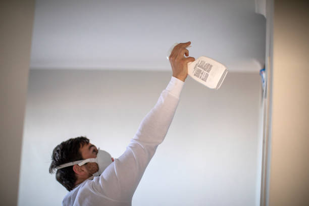 Best Black Mold Remediation in Mounds View, MN