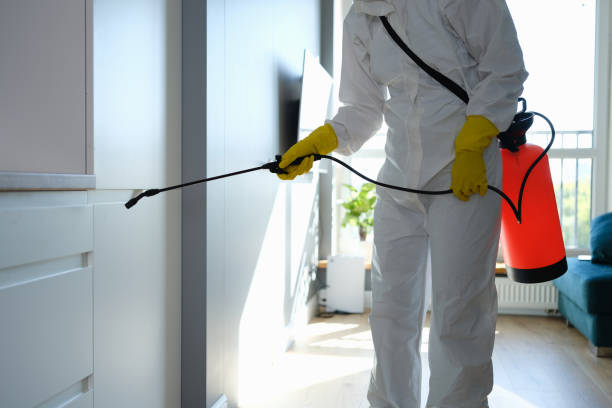 Best Post-Remediation Services in Mounds View, MN